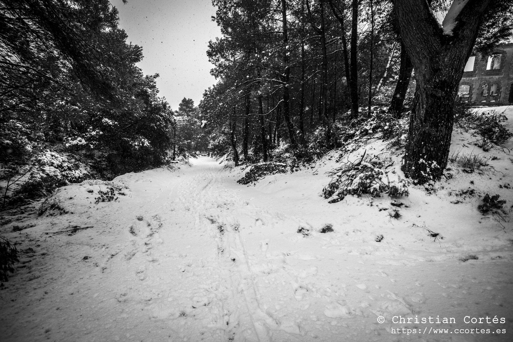 Nieve en Alicante 03